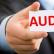 Statutory audit - grounds for conducting an audit