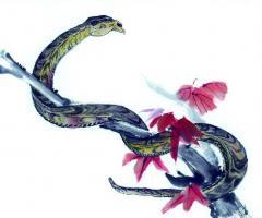Rooster and Snake - compatibility in love and marriage