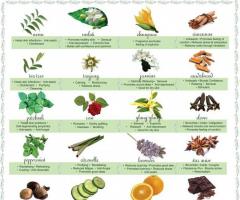 Table of essential oils and their properties and uses